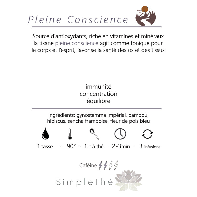 Pleine Consience