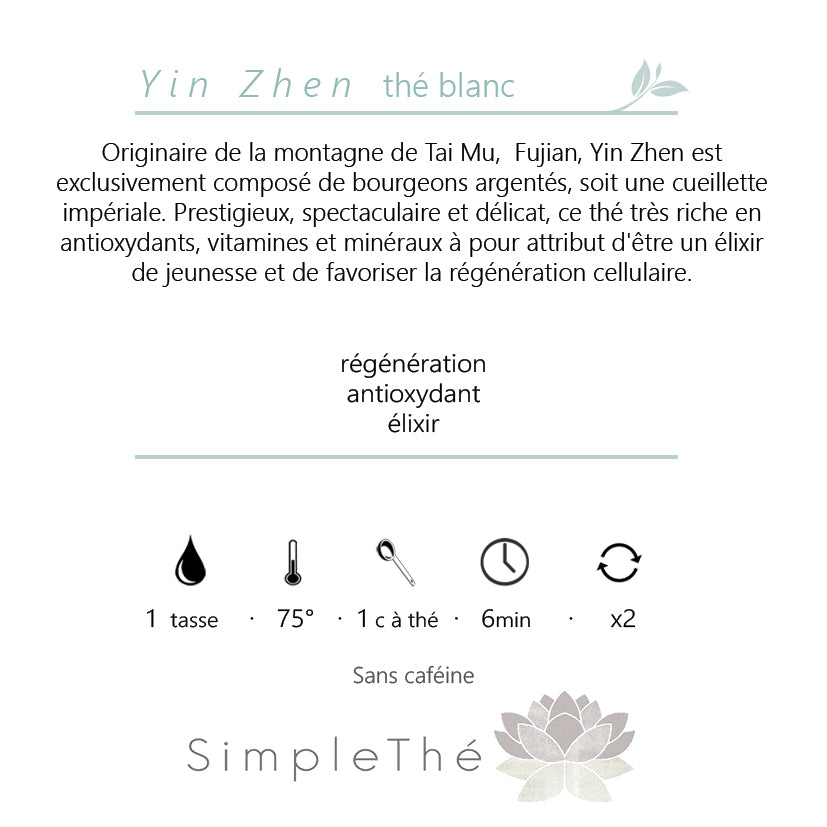 Yin Zhen - Aiguilles d'Argent